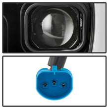 Load image into Gallery viewer, Photo - Unmounted