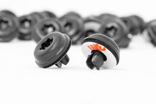 Load image into Gallery viewer, 0niy0ggs.jpg