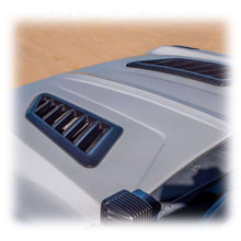 Load image into Gallery viewer, Photo - Close Up