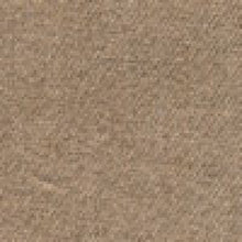 Load image into Gallery viewer, Photo - Close Up