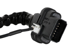 Load image into Gallery viewer, Photo - Unmounted