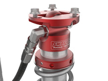 Load image into Gallery viewer, Photo - Close Up