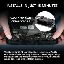 Load image into Gallery viewer, User 5