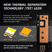 Load image into Gallery viewer, User 2