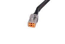 Load image into Gallery viewer, User 3