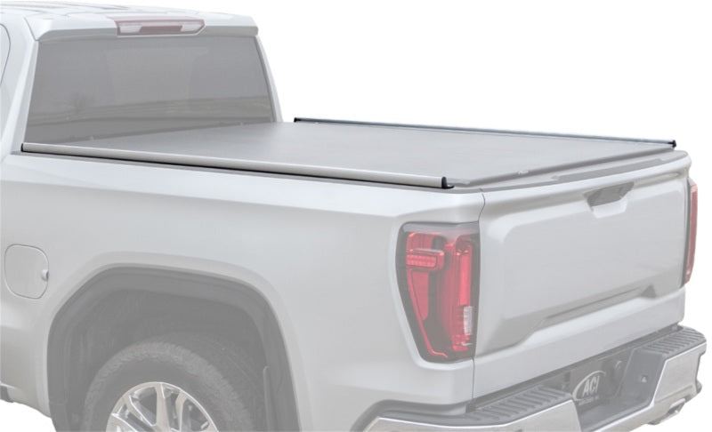 Access 04+ Ford F-150 (Except 04 Heritage) & 06-08 Lincoln Mark LT 5.5ft Box - Silver