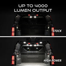 Load image into Gallery viewer, User 2