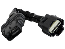 Load image into Gallery viewer, Photo - Unmounted