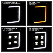 Load image into Gallery viewer, Photo - Unmounted