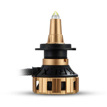 Load image into Gallery viewer, AlphaRex Gold Ammo Panoramic LED Light Bulbs - H11