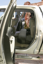 Load image into Gallery viewer, Photo - Mounted