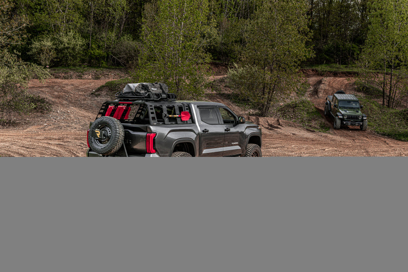 Go Rhino Swing-A-Way Tire Carrier Hitch Mounted Textured Black