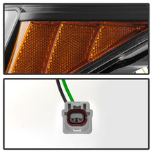 Load image into Gallery viewer, Photo - Unmounted