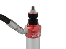 Load image into Gallery viewer, Photo - Close Up