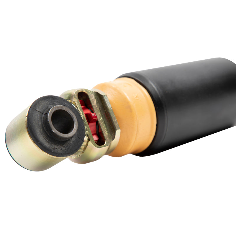 Belltech Ford F-150 (All Cabs) 2WD/4WD Performance Handling Kit Plus