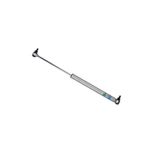 Load image into Gallery viewer, Bilstein B6 Ford F53 Steering Damper