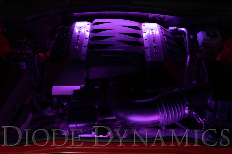 Diode Dynamics RGBW Engine Bay Strip Kit 2pc Multicolor