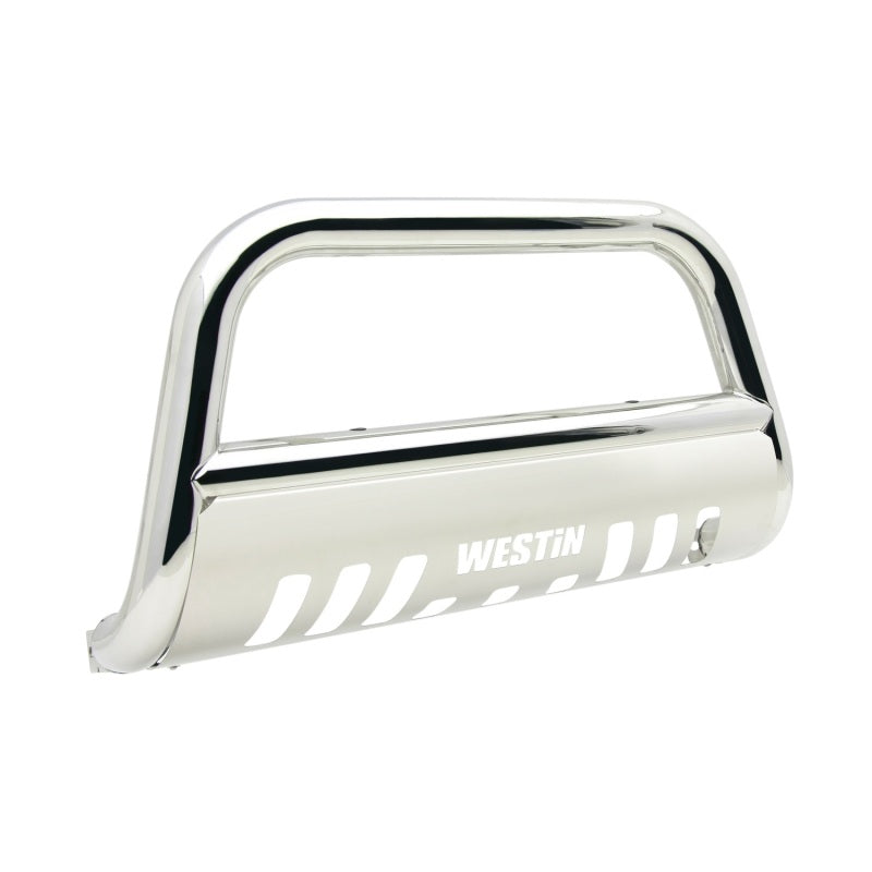 Westin 2009+ Dodge/Ram 1500 E-Series Bull Bar - SS