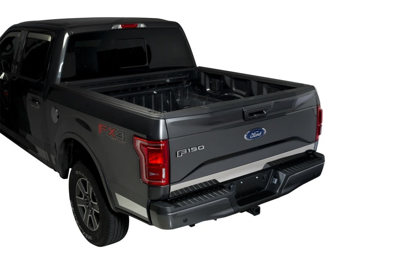 Putco 15-17 Ford F-150 - Stainless Steel - Lower Tailgate Accent - 1 pc Tailgate Accents