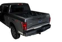 Load image into Gallery viewer, Putco 15-17 Ford F-150 - Stainless Steel - Lower Tailgate Accent - 1 pc Tailgate Accents