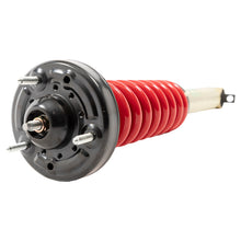 Load image into Gallery viewer, Belltech F-150 2/4WD 5-7in Lift Height Adjustable Coilover Kit