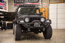 Load image into Gallery viewer, Diode Dynamics 12 In LED Light Bar Single Row Straight Clear Wide (Pair) Stage Series