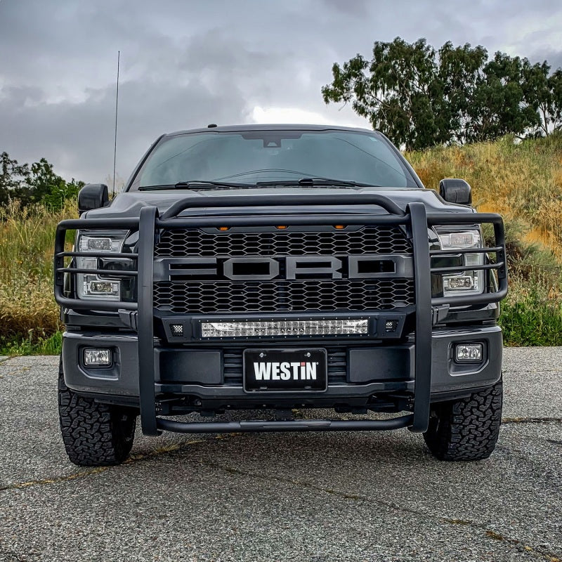 Westin 15+ Ford F150 Sportsman X Grille Guard - Textured Black