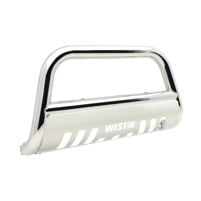 Westin 2009+ Dodge/Ram 1500 E-Series Bull Bar - SS