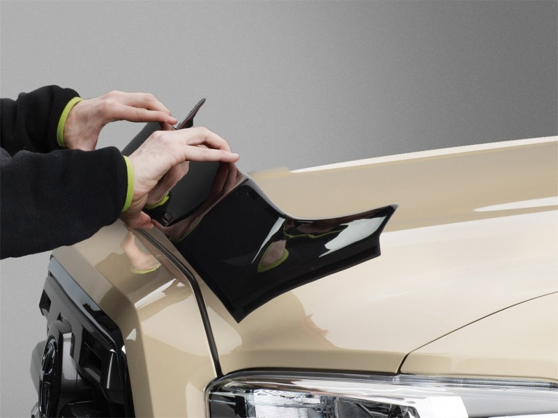 WeatherTech Ford F-150 Hood Protector - Black (Does Not Fit Raptor Model)