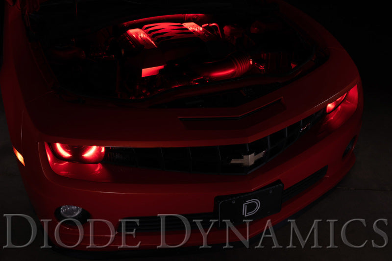 Diode Dynamics RGBW Engine Bay Strip Kit 2pc Multicolor