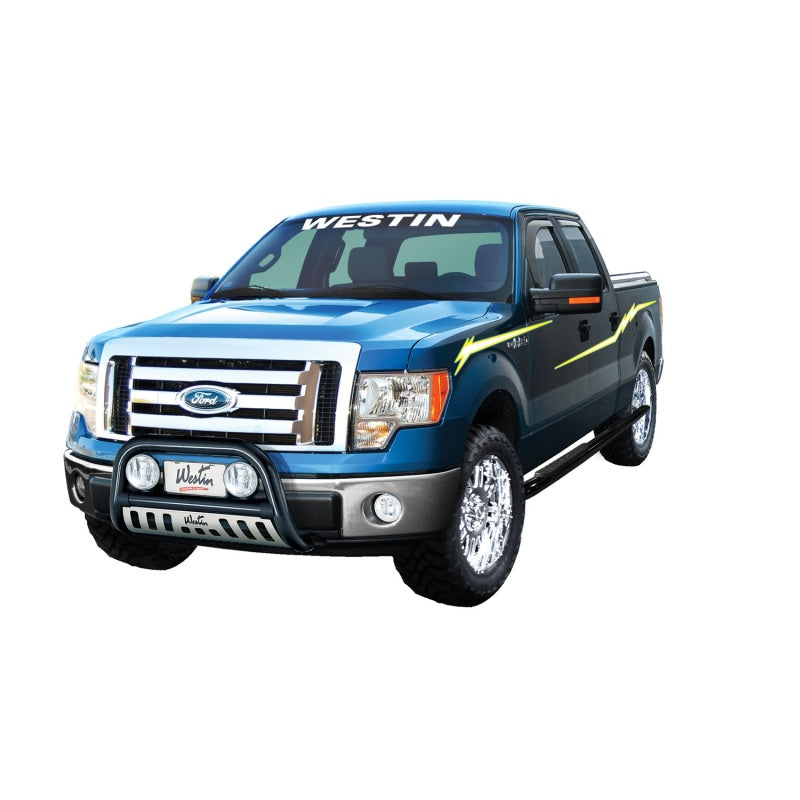 Westin 2004-2014 Ford F-150 (6.75 ft Bed)(Excl. Heritage Edition) Platinum Oval Bed Rails - SS